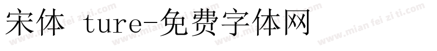 宋体 ture字体转换